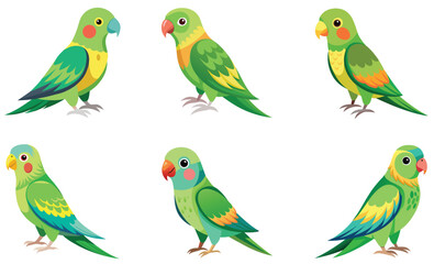 set of colorful Parakeets