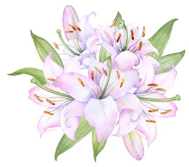 Bouquet white lilies, pink lilies, flowers and buds watercolor flower arrangement