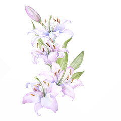 bright  bouquet of pink and blue purple flowers and green leaves, watercolor illustration.