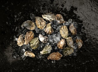 A collection of fresh oysters rests on a bed of ice at a vibrant fish market, showcasing the local seafood offerings. The market buzzes with activity as customers explore festive options