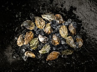 Fresh local oysters sit on a bed of ice, showcasing their unique textures and natural colors. The vibrant display highlights the quality of seafood at the market