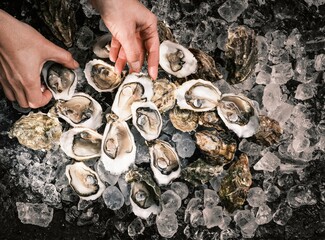 Hands carefully pick fresh local oysters sitting on crushed ice in a vibrant fish market. The...