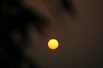 Beautiful sunset through branches, Sunset, Warm sunset passing through branches, Sun shining through the leaves in the forest, Sunset Concept.