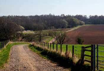 Farm Track in a Rural Location in Early Spring