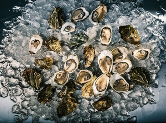 Freshly harvested oysters and local fish are arranged on a bed of ice, showcasing a bounty of...