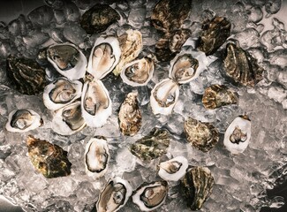 Fresh local oysters sit nestled in ice at a vibrant fish market. The market bustles with activity as customers explore the selection of seafood available