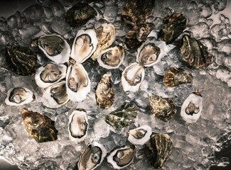 Fresh oysters are displayed on a bed of ice at a local fish market, showcasing their natural beauty and inviting customers to enjoy their delicious taste