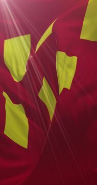 Northumberland County Flag in North East England. Loop. 4K Vertical