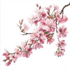 Obraz premium Graceful curved cherry blossom branch in full bloom. 부드러운 곡선을 따라 핀 벚꽃이 그려진 수채화 스타일입니다.