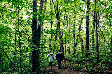 Walking in the woods, La Mauricie National Park, Qu&eacute;bec, Canada