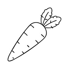 A Simple Line Drawing of a Single Orange Carrot with Green Tops