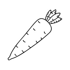 A Simple Line Drawing of a Single Orange Carrot Vegetable