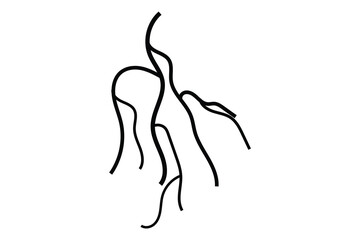 Fototapeta premium black and silhouette root icon on white background.