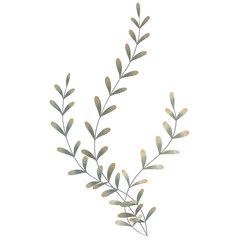 3D Coral Watercolor Illustration Reef Seaweed Coral