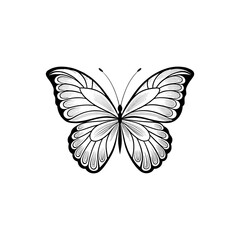 butterfly silhouette logo vector line art logo design