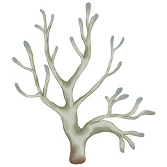 3D Coral Watercolor Illustration Reef Seaweed Coral