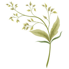 Wildflowers Leaves Invitation Plant Watercolor