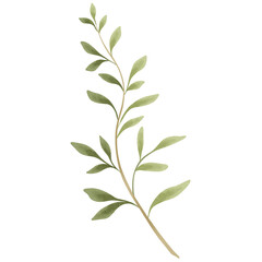 Wildflowers Leaves Invitation Plant Watercolor