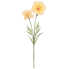 Wildflowers Leaves Invitation Plant Watercolor