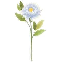 Wildflowers Plant Leaves Blossom Watercolor