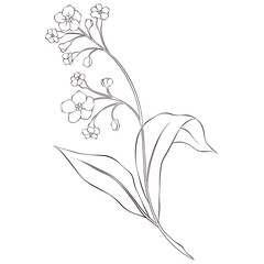 Wildflowers Lineart Outline Hand Drawn