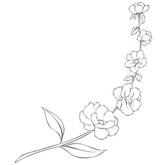 Wildflowers Lineart Outline Hand Drawn