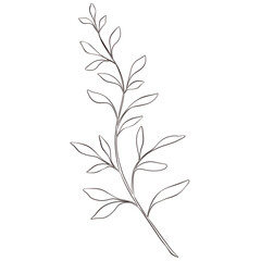 Wildflowers Lineart Outline Hand Drawn