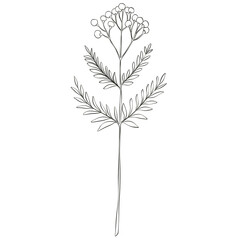 Wildflowers Lineart Outline Hand Drawn