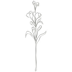Wildflowers Lineart Outline Hand Drawn