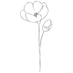 Wildflowers Lineart Outline Hand Drawn