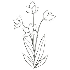 Wildflowers Lineart Outline Hand Drawn