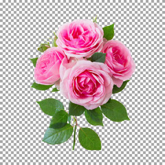 Pink roses, Fresh Pink Roses Arrangement for Floral Design on transparent background, png, psd

