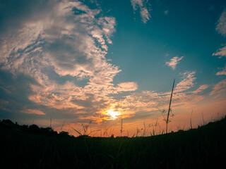 Sunset at the rice field