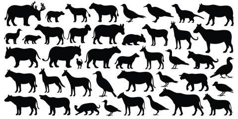 Fototapeta premium This image features a variety of animal silhouettes, including mammals, birds, and possibly reptiles