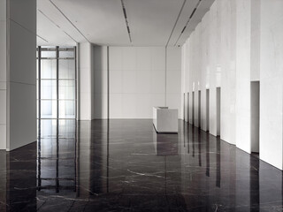 Contemporary Minimalist Lobby
