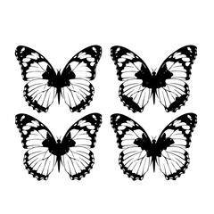 Butterflies silhouette black