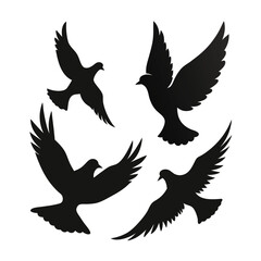Obraz premium different type of dove silhouette simple vectors on white background