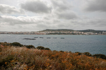 Seaside View of Mellieha with Colorful Wildflowers in Foreground