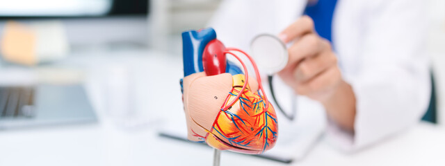 Banner of cardiologist used a stethoscope to check the heartbeat and pulse of an elderly person, as the doctor monitored for disease in the hospital's health care system.