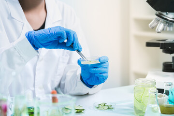 In the laboratory, a scientist in biotechnology used cucumber as a key ingredient in skincare medicine, blending research, innovation, and biology for quality health treatment.
