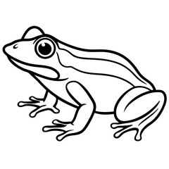 Clean Line Art Frog Drawing