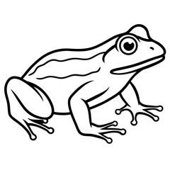 Clean Line Art Frog Drawing