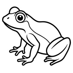 Clean Line Art Frog Drawing