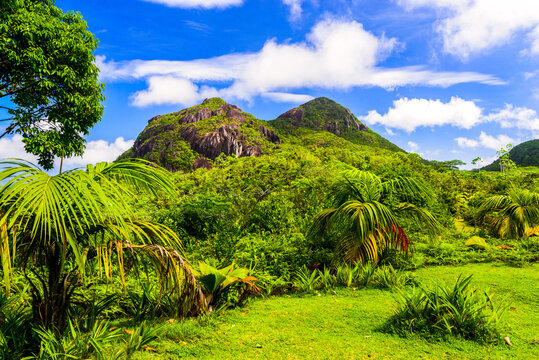 Scenic View in Morne Seychellois national park
