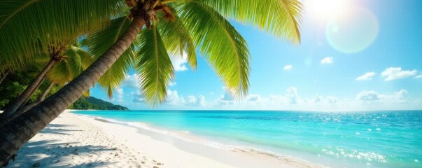 Sun-drenched palms, white sand beach, turquoise ocean ,  texture,  bright