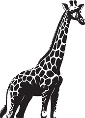 Fototapeta premium Black and White Giraffe Vector | Animal Silhouette Clipart Illustration 