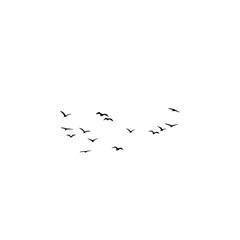 A flock of birds soaring gracefully in the sky, isolated on a white background for easy design integration.