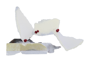 Pieces of paper held together with pins on transparent background