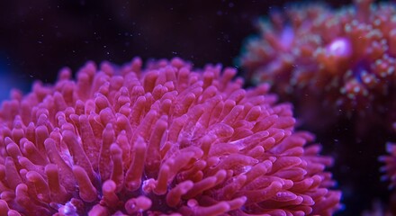 Vibrant Pink Coral Reef Closeup: Underwater Beauty AI Generated