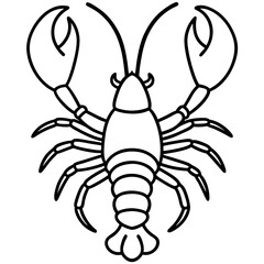 Clean Lobster Line Drawing Vector
